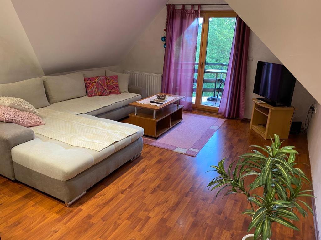 Apartments Vila Knez Zlatibor Rom bilde